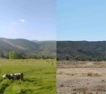 Mihalıççık İlçesi Adahisar Mahallesi’nde Islah Ve Amenajman Projesi
