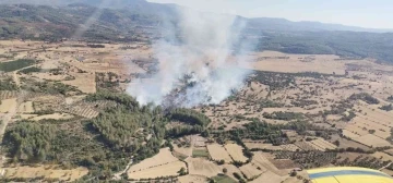 Milas’ta yangına havadan ve karadan müdahale devam ediyor
