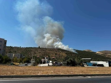 Milas’ta zirai alan yangını
