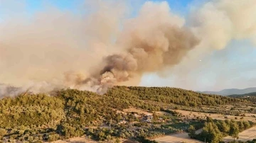 Milas’taki orman yangınına müdahale sürüyor
