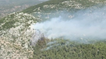 Milas'ta ormanlık alanda çıkan yangın kontrol altına alındı