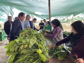 Milletvekili Tutdere, köylülerin sorunlarını dinliyor
