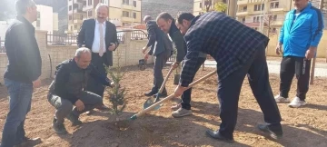 Milli Ağaçlandırma Günü’nde Yusufeli’nin yeni yerleşim yerinde de fidan dikildi
