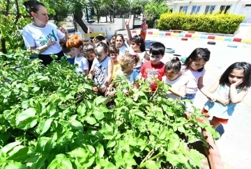 Minikler için tarım atölyesi
