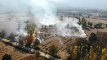 Mısır hasadı bitti, anız yangınları başladı
