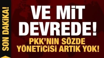 MİT devrede! Kamışlı'da terörist Muhsin Yağan etkisiz hale getirildi