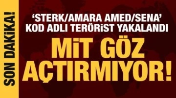 MİT, Sterk/Amara Amed/Sena kod adlı teröristi yakaladı