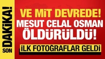 MİT'ten operasyon! Sincar'da Mesut Celal Osman öldürüldü