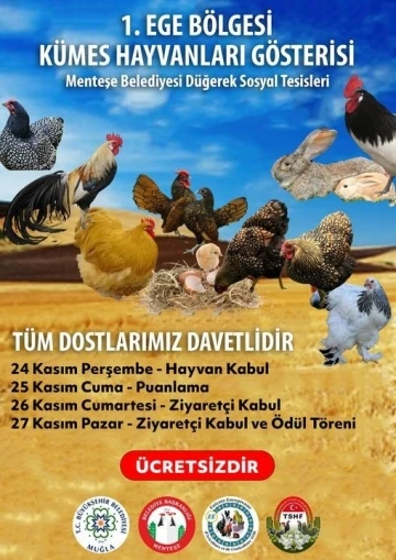 Muğla’da birbirinden çeşit süs hayvanları kıyasıya yarışacak
