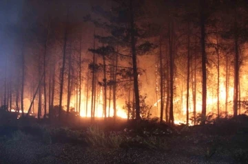 Muğla Valiliği vatandaşları orman yangını konusunda uyarı yaptı
