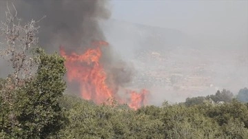 Muğla'da orman yangını çıktı! Seydikemer'de çıkan yangına müdahale ediliyor