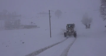 Muş’ta 297 köy yolu ulaşıma kapandı
