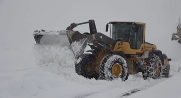 Muş’ta 347 köy yolu ulaşıma kapandı
