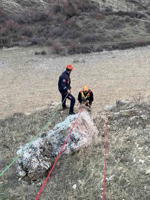 Muş’ta kayalıkta mahsur kalan keçiler kurtarıldı
