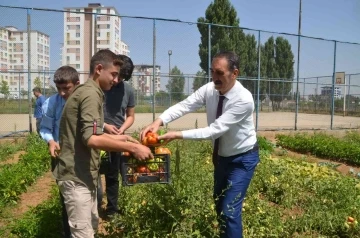 Muş’ta okul bahçesinde yetiştirilen sebzeler ihtiyaç sahiplerine dağıtılıyor
