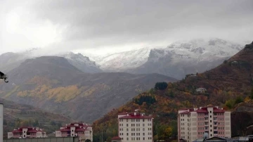 Muş’un yüksek kesimlerine mevsimin ilk karı yağdı
