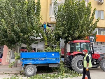 Mut’ta temizlik çalışmaları
