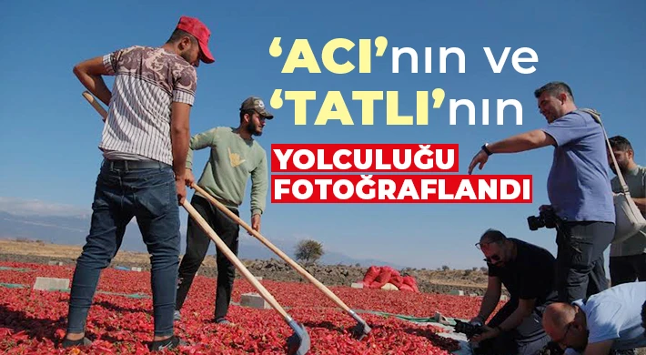  ‘ACI’nın ve ‘TATLI’nın yolculuğu fotoğraflandı