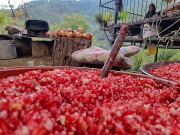 Nar tanelerinin ekşi yolculuğu
