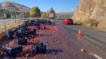 Nar yüklü kamyon devrildi, tonlarca nar ziyan oldu
