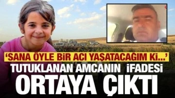 Narin olayında yeni gelişme! Tutuklanan amcanın ifadesi ortaya çıktı