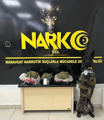 Narkotik köpek Pars’tan uyuşturucuya geçit yok
