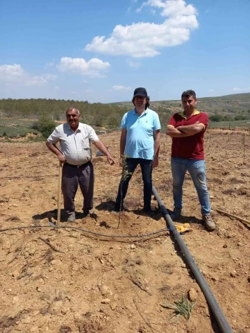 Nazilli’de siyah elma ve mor aronya fidanları toprakla buluştu
