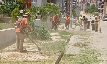 Nazilli’de temizlik seferberliği sürüyor
