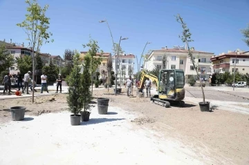 Nevşehir’de parklar ağaçlandırılıyor
