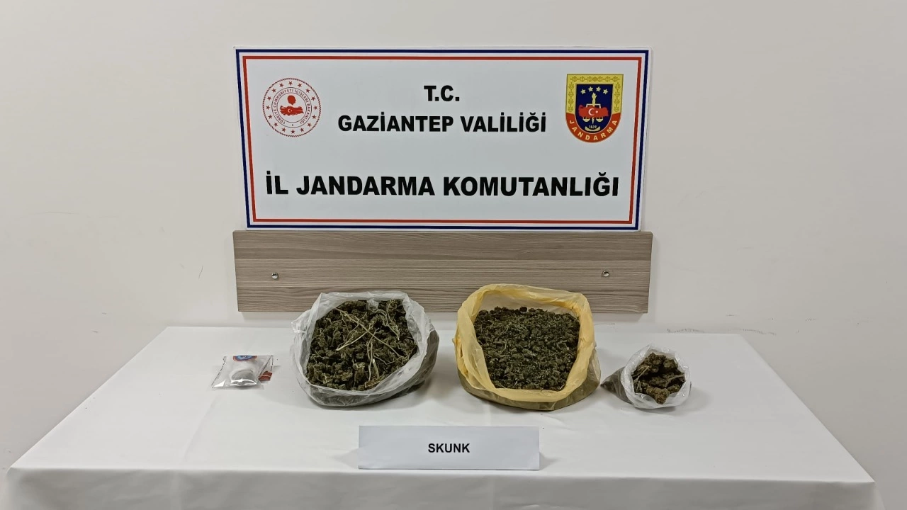 Nurdağı’nda 3 Kilo Skunk Ele Geçirildi: Skunk Nedir?