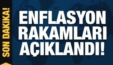 Ocak ayı enflasyon rakamları açıklandı