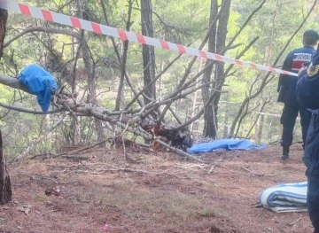 Odun yapmak için kestiği ağacın altında can verdi
