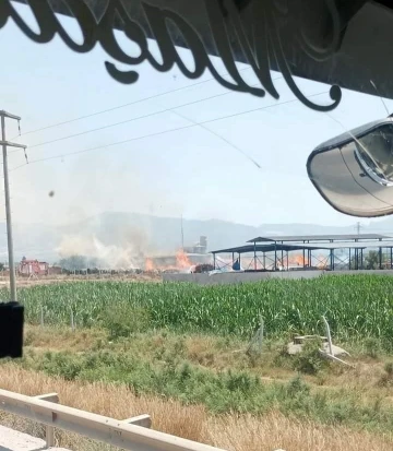 Oduncuda yangın çıktı
