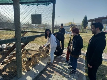 Öğrencilere, veteriner hekimler tarafından bilgiler verildi
