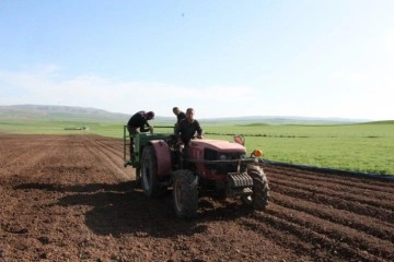 Okumak için geldiği Siirt’te üretici olmayı hedefliyor