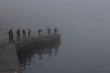 Olta balıkçıları sisli havada &quot;rastgele&quot; dedi
