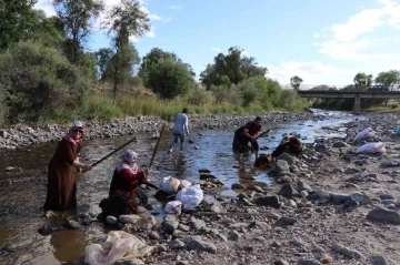 Oltu Çayı’nda yün yıkamaya başladılar
