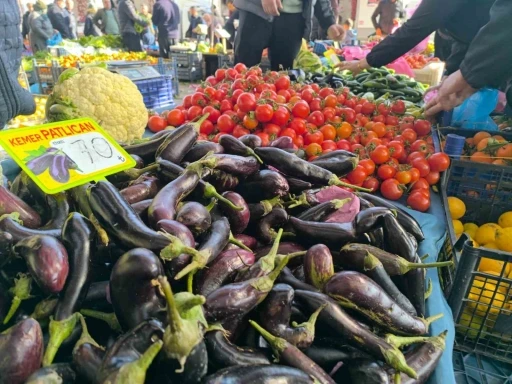 Olumsuz hava şartları patlıcan fiyatlarını yükseltti
