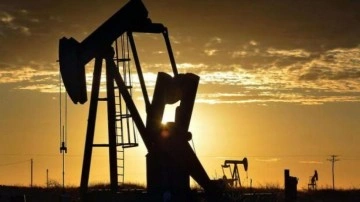 OPEC'ten petrol toplantısı! Karar açıklandı
