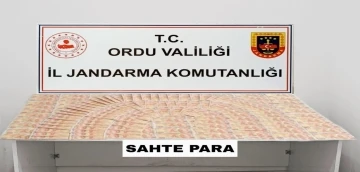 Ordu’da 181 adet 50 TL’lik sahte banknot ele geçirildi
