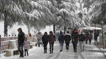 Ordu’da kar güzelliği: Boztepe beyaz gelinliğini giydi
