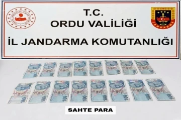 Ordu’da sahte para operasyonu
