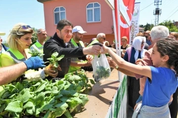 Ordu’da üreticilere 200 bin adet fide desteği
