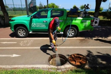 Ordu’da vektörlere karşı mücadele sürüyor
