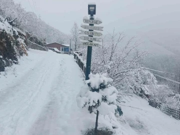 Ordu’nun yüksek kesimlerinde kar yağışı etkili oldu
