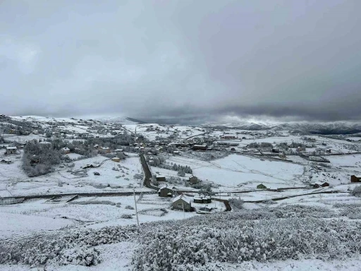 Ordu’ya mevsimin ilk karı düştü
