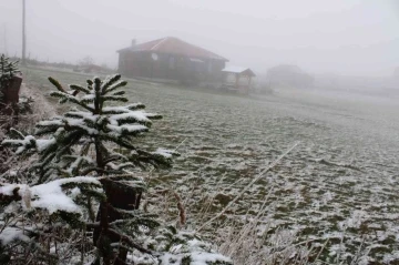 Ordu’ya mevsimin ilk karı yağdı
