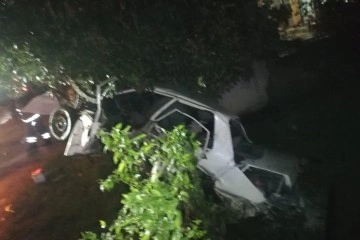 Ordu'da otomobil ağaca çarptı: 1 ölü