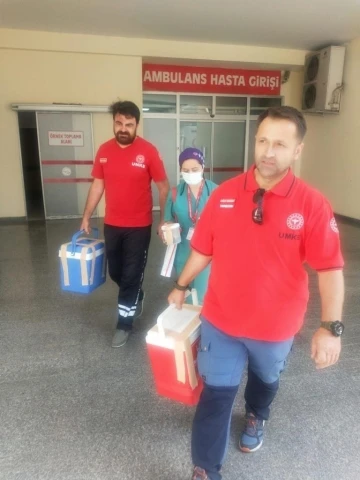 Organ bağışı 3 hastaya şifa oldu
