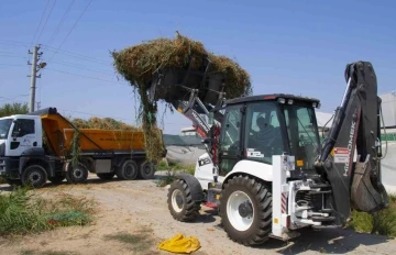 Organik atıklar elektrik enerjisine dönüştürülüyor
